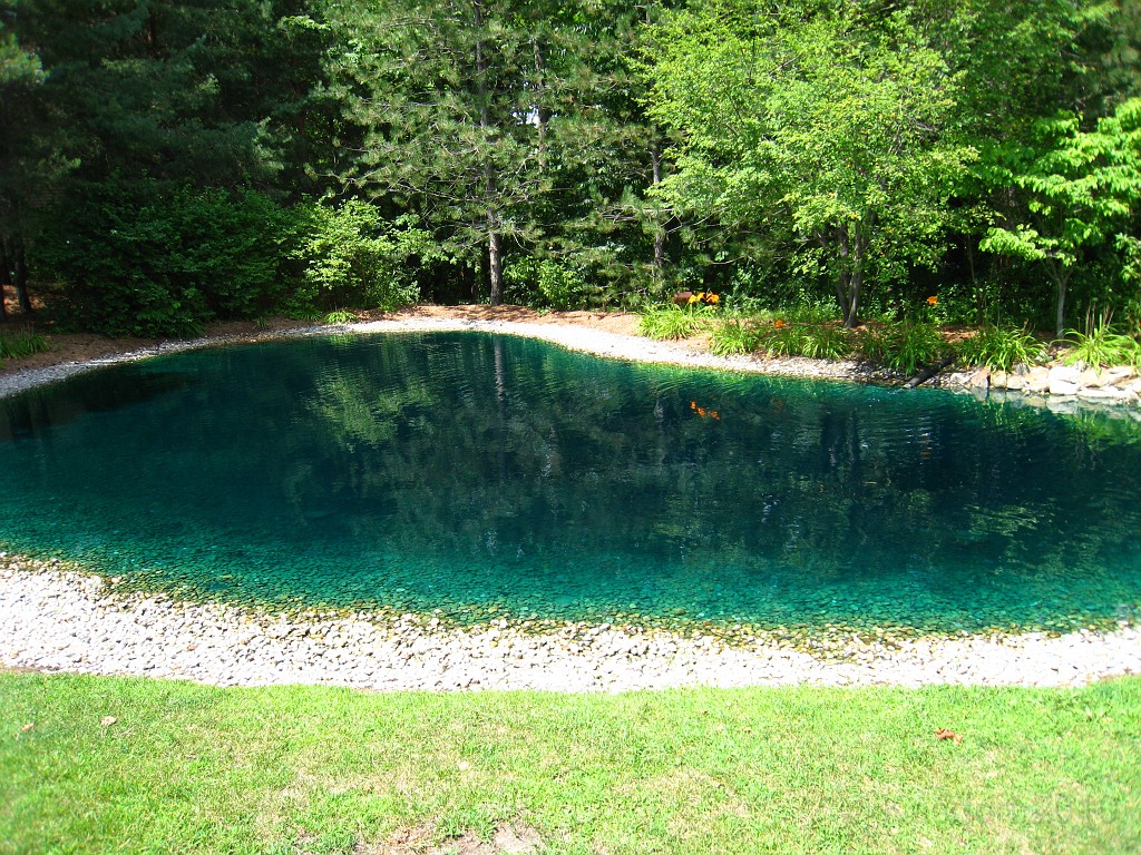 Matthaei Botanical Gardens 2010 0730.jpg - The addition's (second) pond.